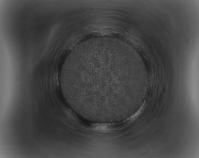 X0000083600182200703021923