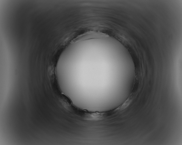 X0000083600184200703021923