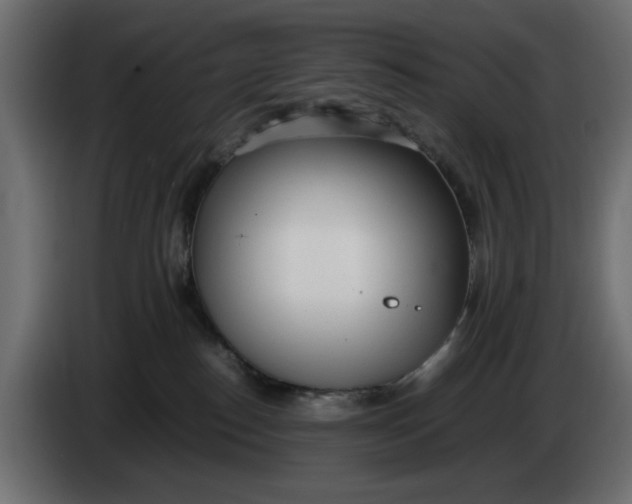 X0000083600186200703021923