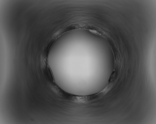 X0000083600188200703021923