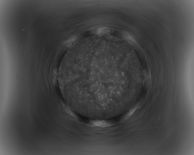 X0000083600189200703021923