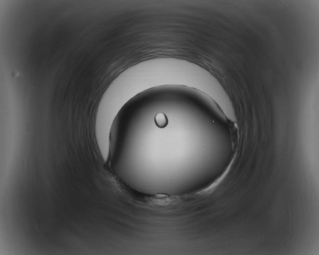 X0000083600190200703021923