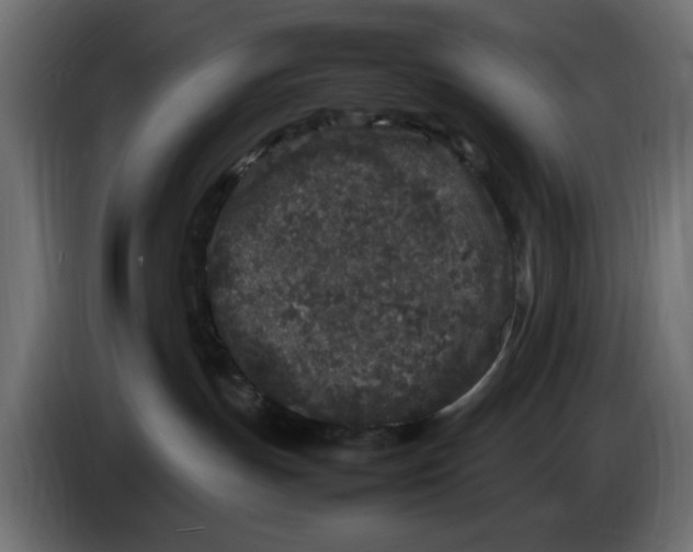 X0000083600191200703021923