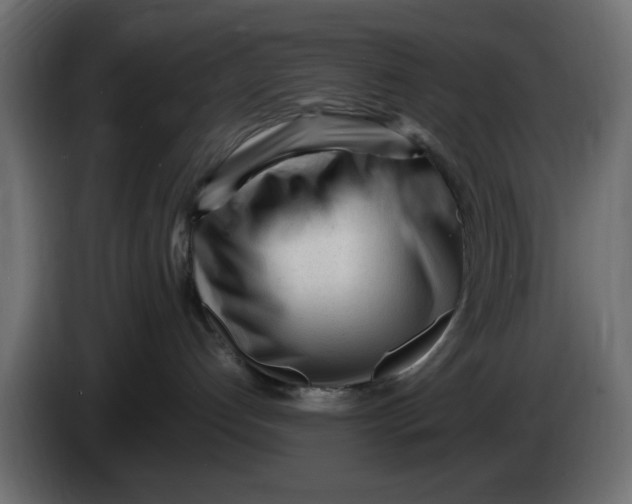 X0000083600192200703021923