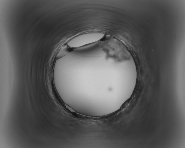 X0000083600193200703021922