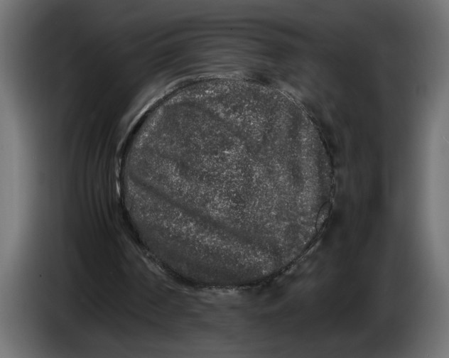 X0000083600194200703021922