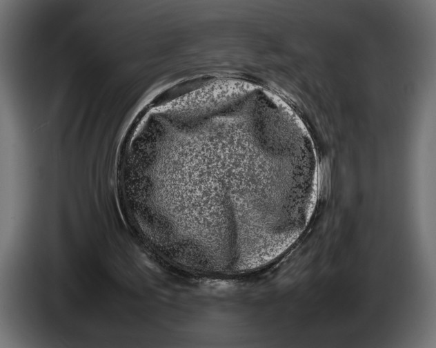 X0000083600195200703021922