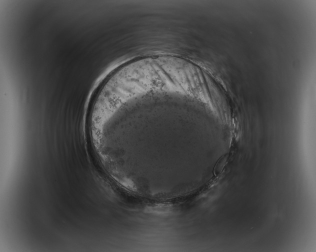 X0000083600196200703021922