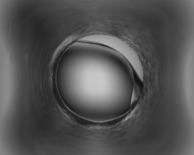 X0000083600197200703021922