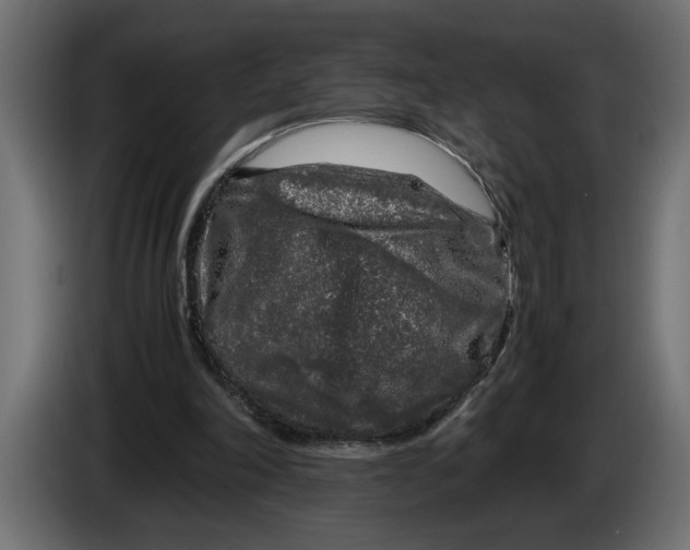 X0000083600198200703021922