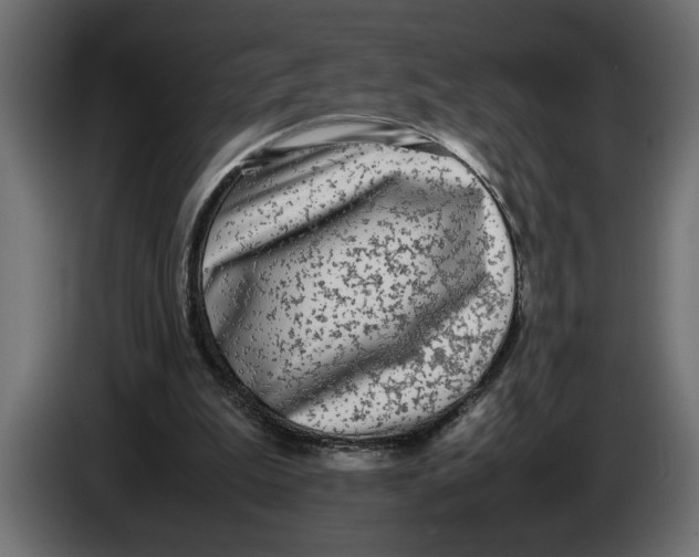 X0000083600199200703021922