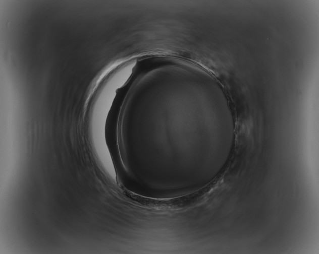 X0000083600200200703021922