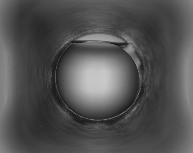 X0000083600201200703021922