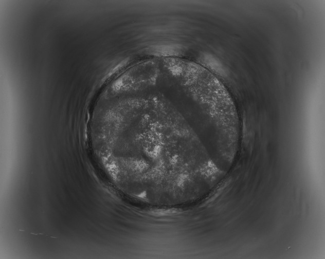 X0000083600202200703021922