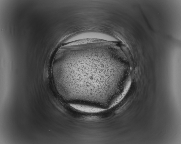 X0000083600203200703021922