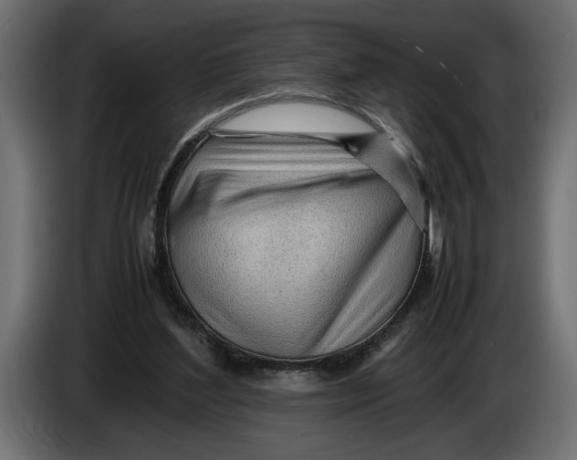 X0000083600204200703021922