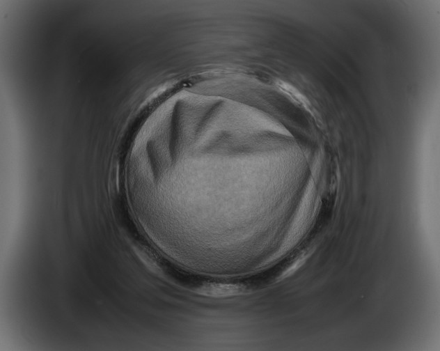 X0000083600205200703021922