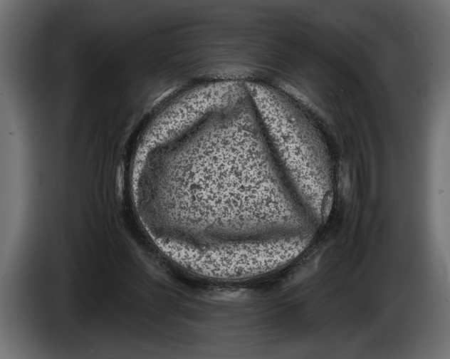 X0000083600206200703021922