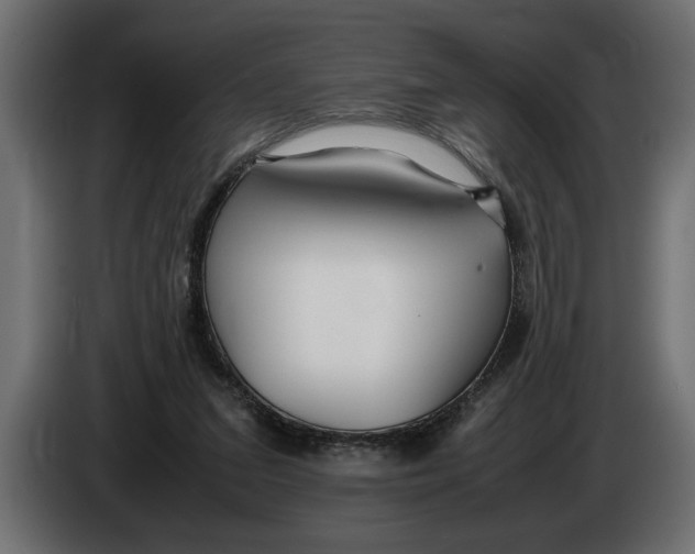 X0000083600207200703021922