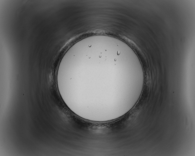 X0000083600208200703021922