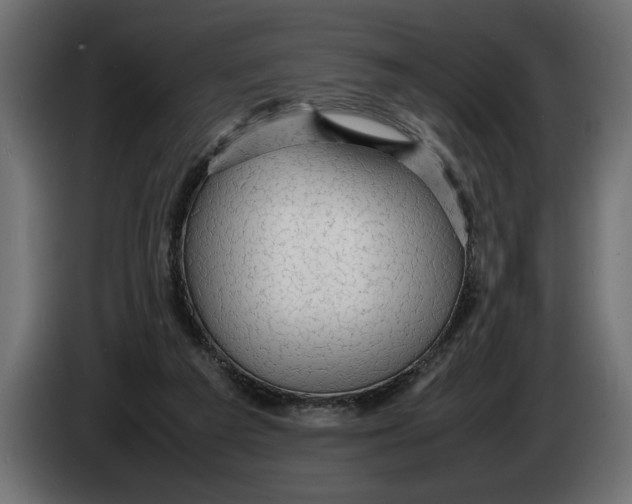 X0000083600209200703021922