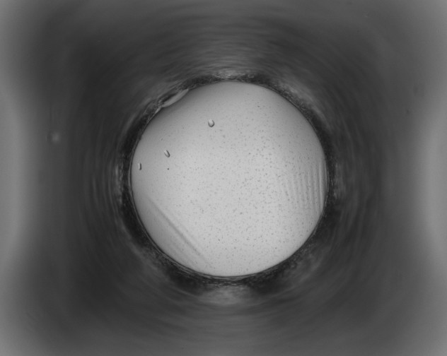 X0000083600210200703021922