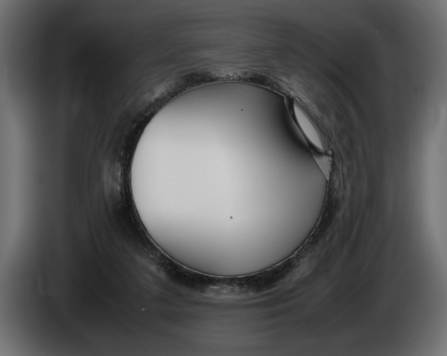 X0000083600211200703021922