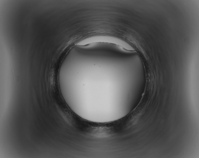 X0000083600212200703021922