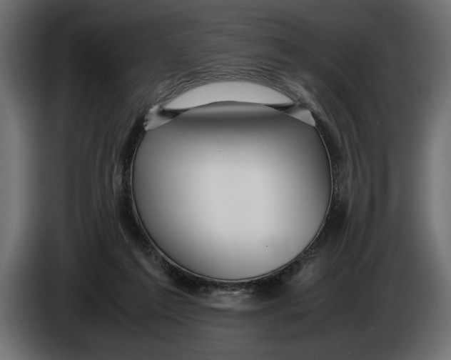 X0000083600213200703021922