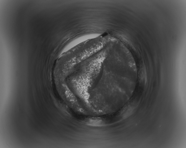 X0000083600214200703021922