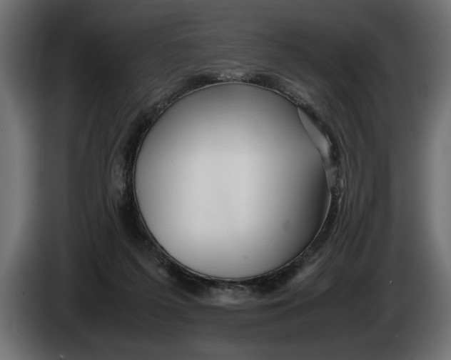 X0000083600215200703021922