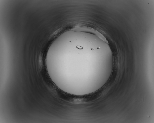 X0000083600216200703021922