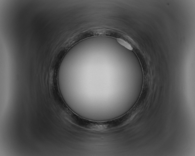 X0000083600217200703021922