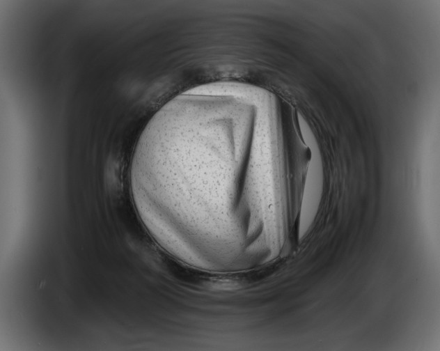 X0000083600218200703021922