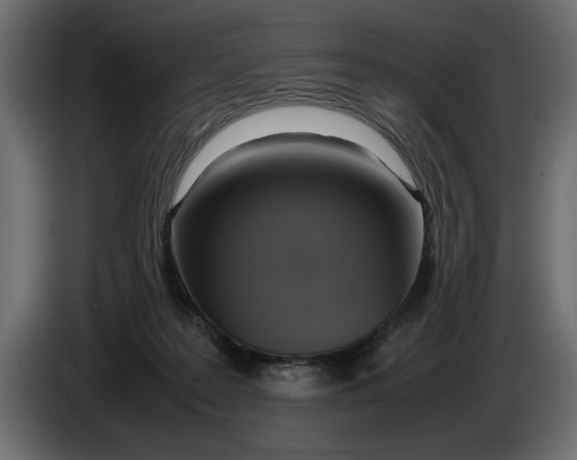 X0000083600219200703021922