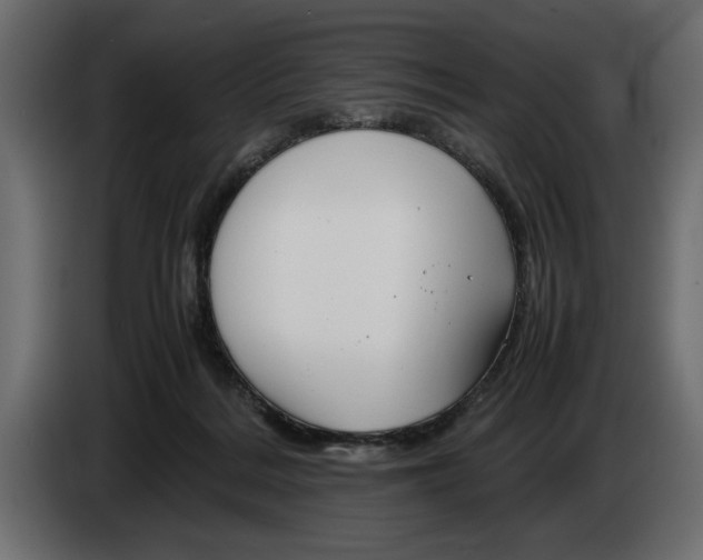 X0000083600220200703021922