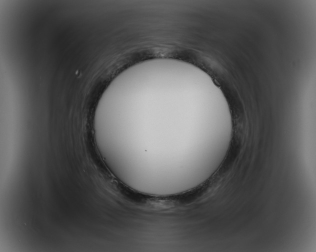 X0000083600221200703021922