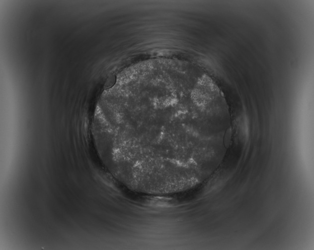 X0000083600222200703021922