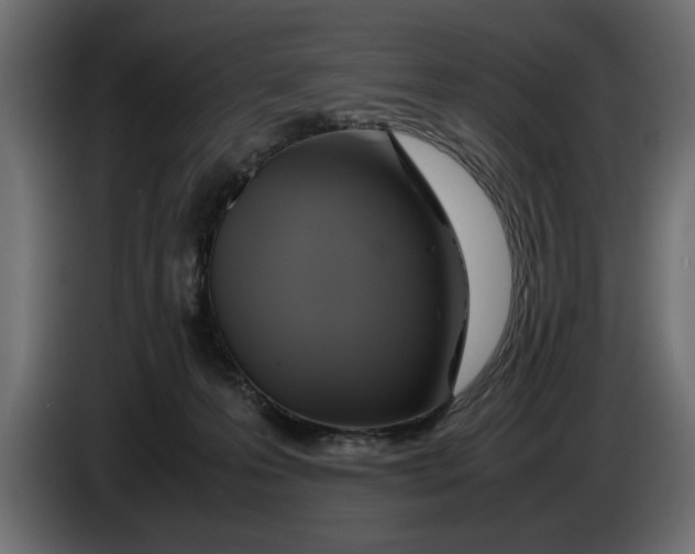 X0000083600223200703021922