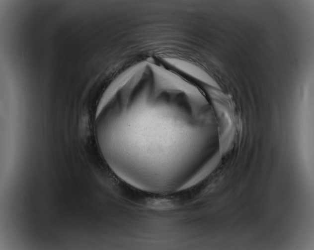 X0000083600224200703021922