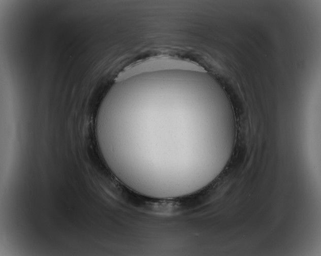 X0000083600225200703021922