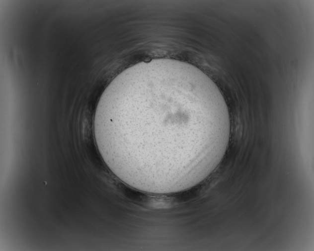 X0000083600226200703021922