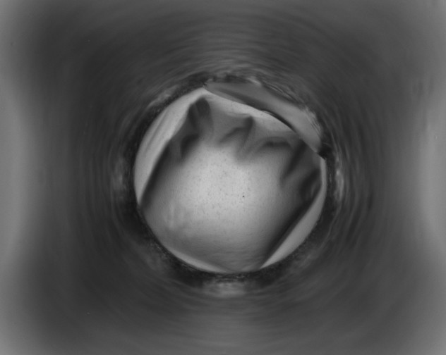 X0000083600228200703021922