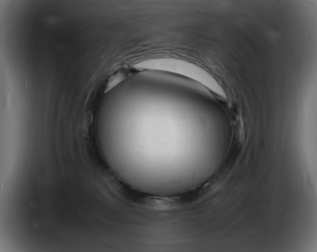 X0000083600229200703021922