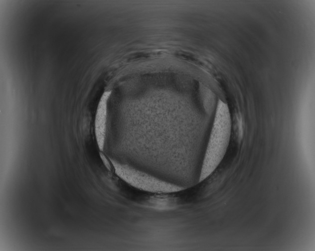 X0000083600231200703021922