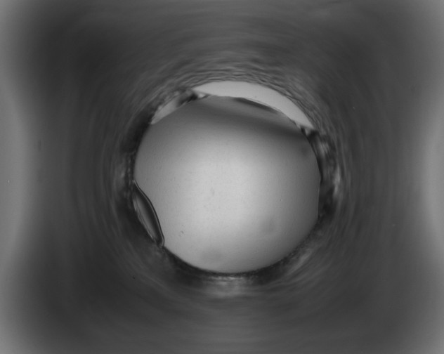 X0000083600233200703021922