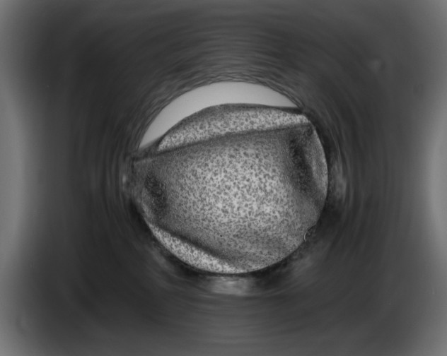 X0000083600234200703021921