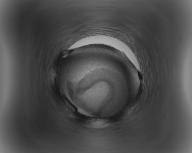 X0000083600235200703021921