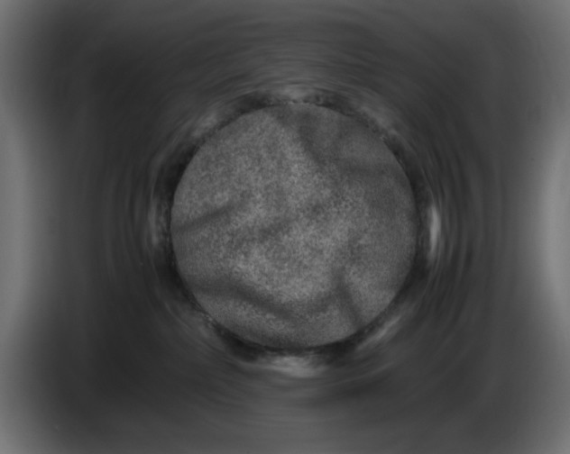 X0000083600236200703021921