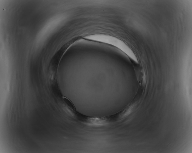 X0000083600239200703021921